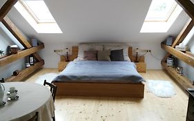 Stylove Podkrovni Apartmany Ostrava